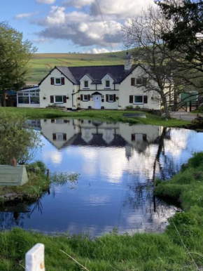 Гостиница Llwyn Onn Guest House, North Wales  Пентрифолаз